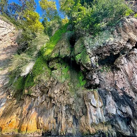 Guenes Holiday Faralya