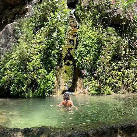 Guenes Holiday * Faralya