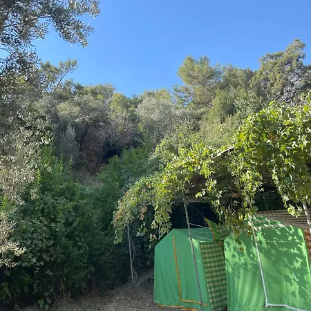 Chalet Guenes Holiday