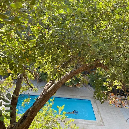 Guenes Holiday Chaletu Faralya