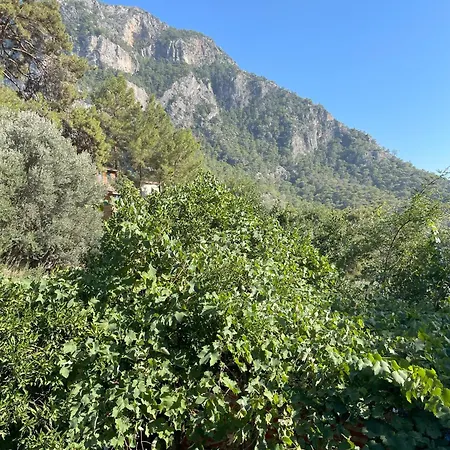 Chalet Guenes Holiday Faralya